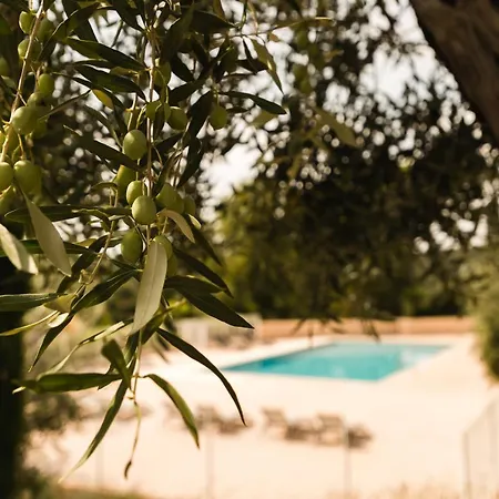 Aparthotel Garden & Les Bastides De Grimaud