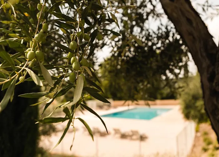 شقة فندقية Garden & Les Bastides De غريمو